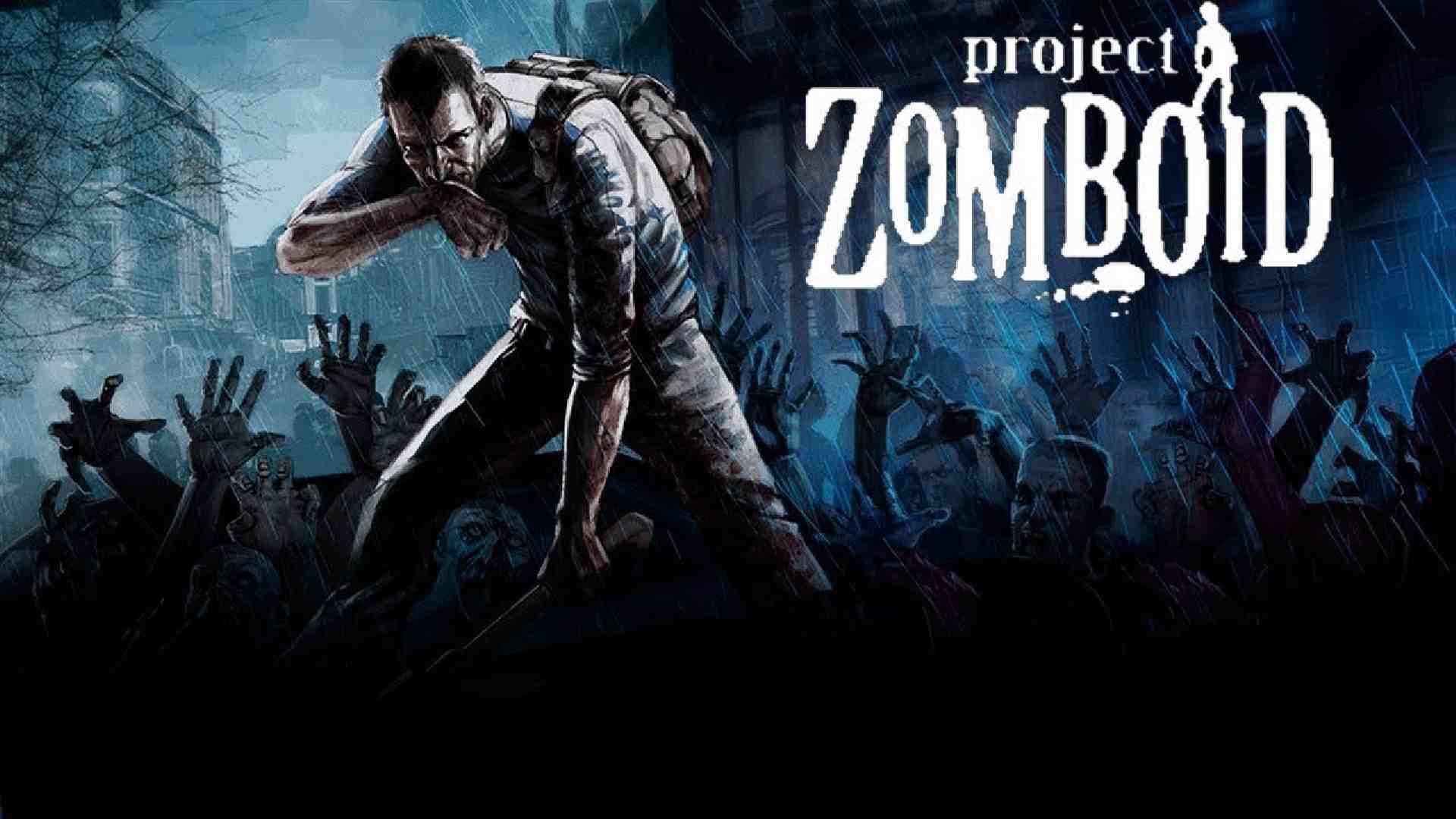 Project Zomboid Hosting Botnix